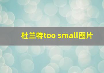 杜兰特too small图片